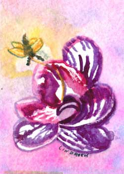 "Moth Orchid" by  Mary Lou Lindroth, Rockton IL - Watercolor